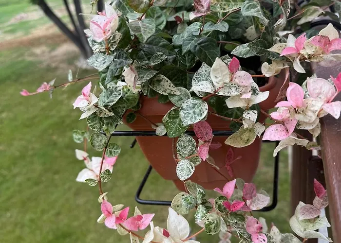 Il Monastero Di Qua Sarturano